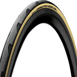 Continental Grand Prix 5000 AllSeason - Black/Cream