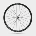 Princeton - ALTA 3532 EVO Disc Carbon Hjulsæt