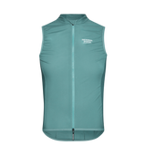 Grey Teal