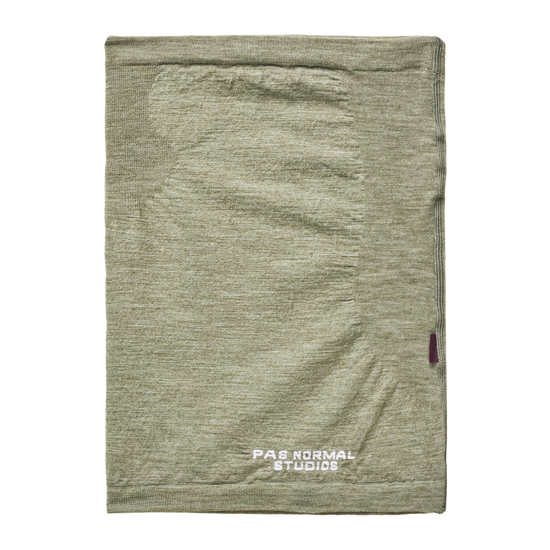 Pas Normal Studios Logo Merino strik halsedisse - Earth